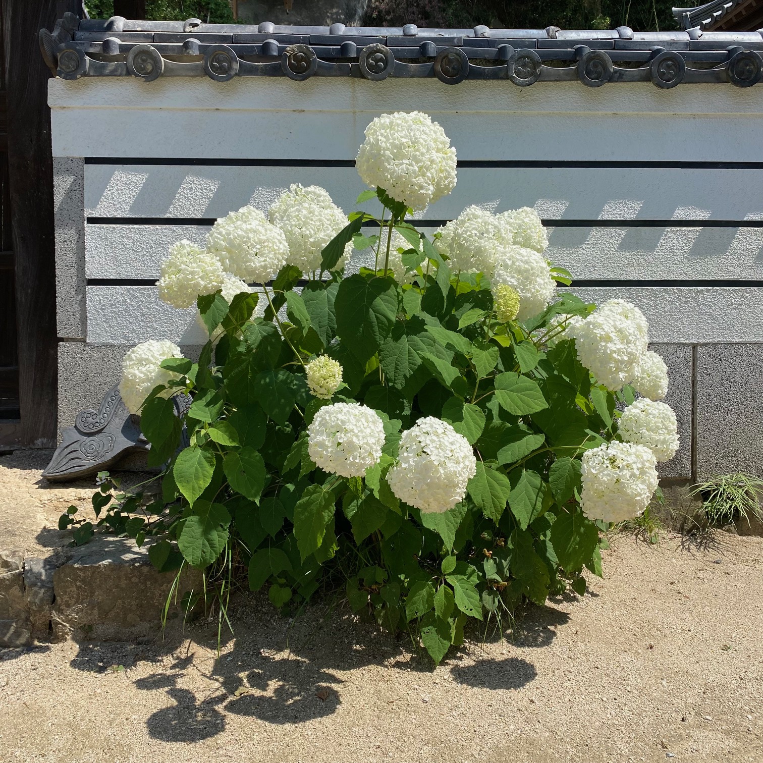20250619　椅子を追加しました！1.jpg