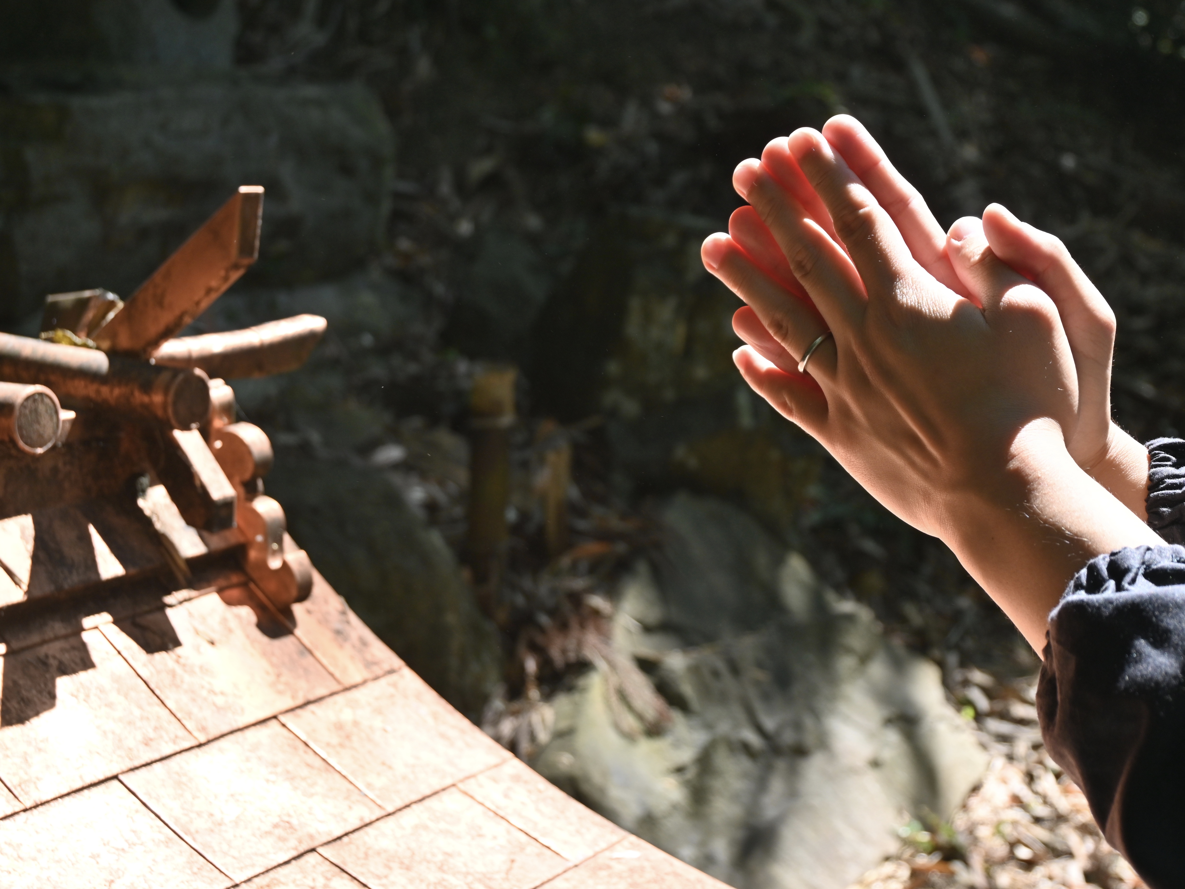 20260531 鎮守様の祠1.jpg