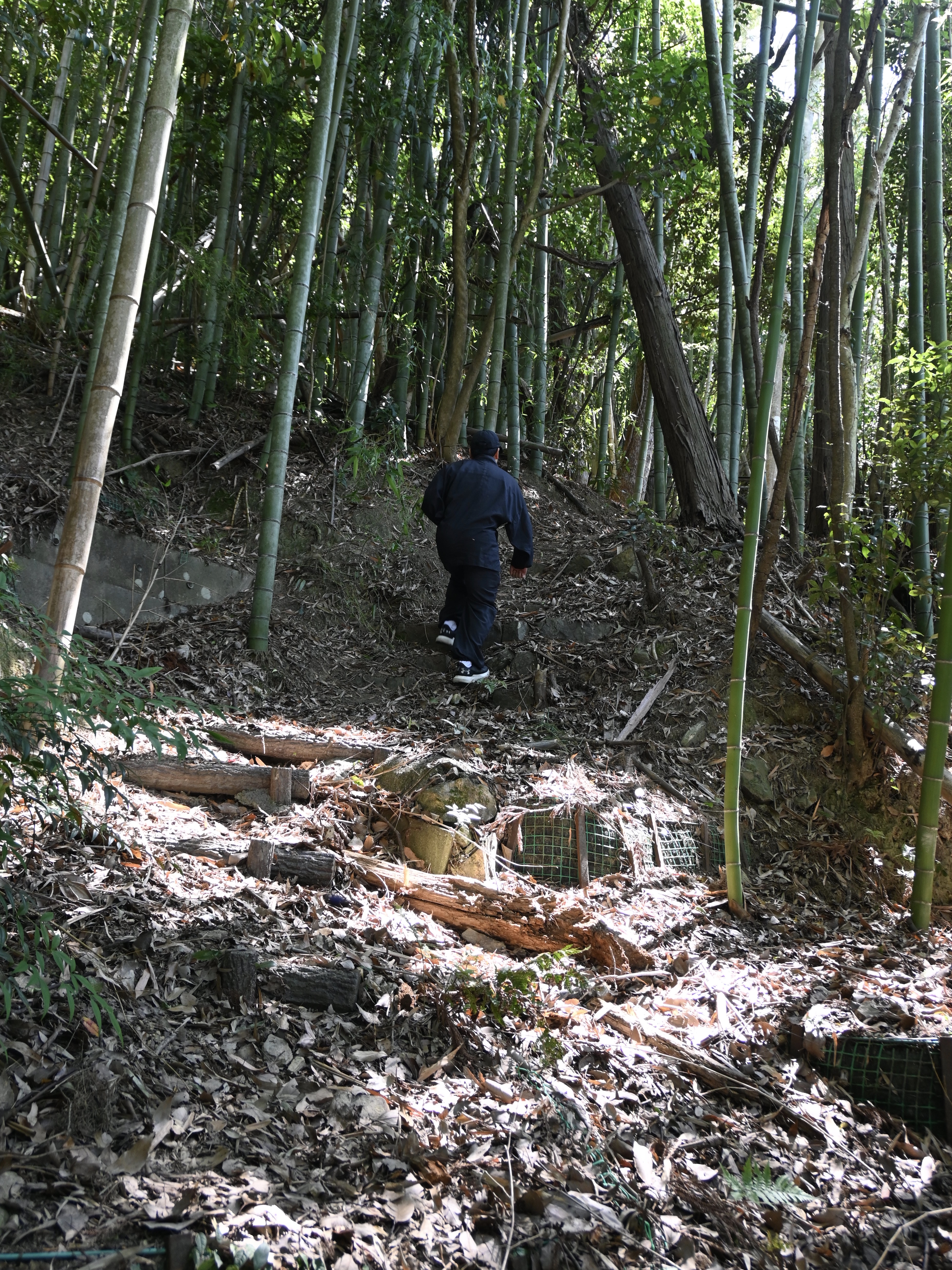 20260531 鎮守様の祠4.jpg