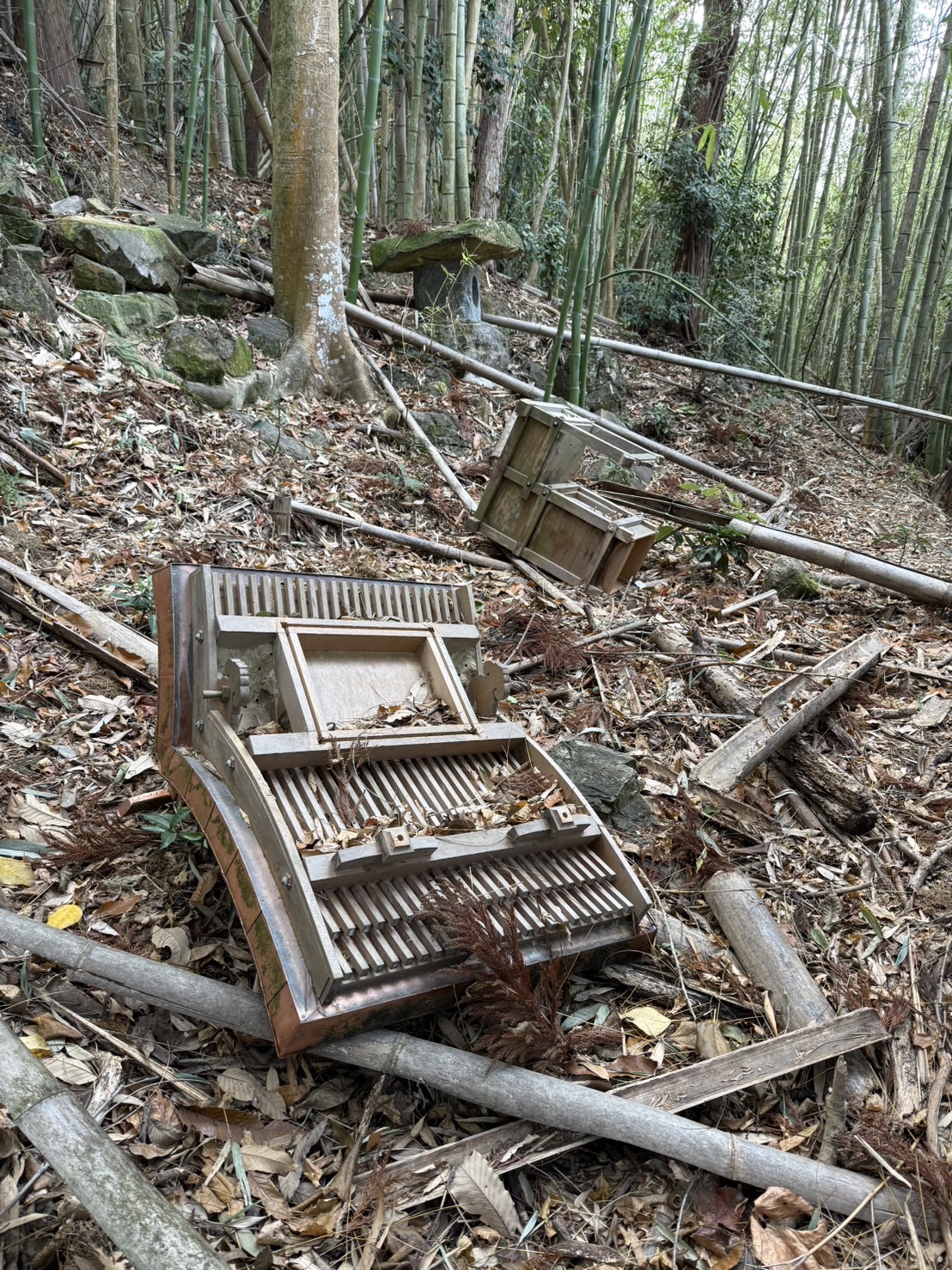 20260531　鎮守様の祠6.JPG