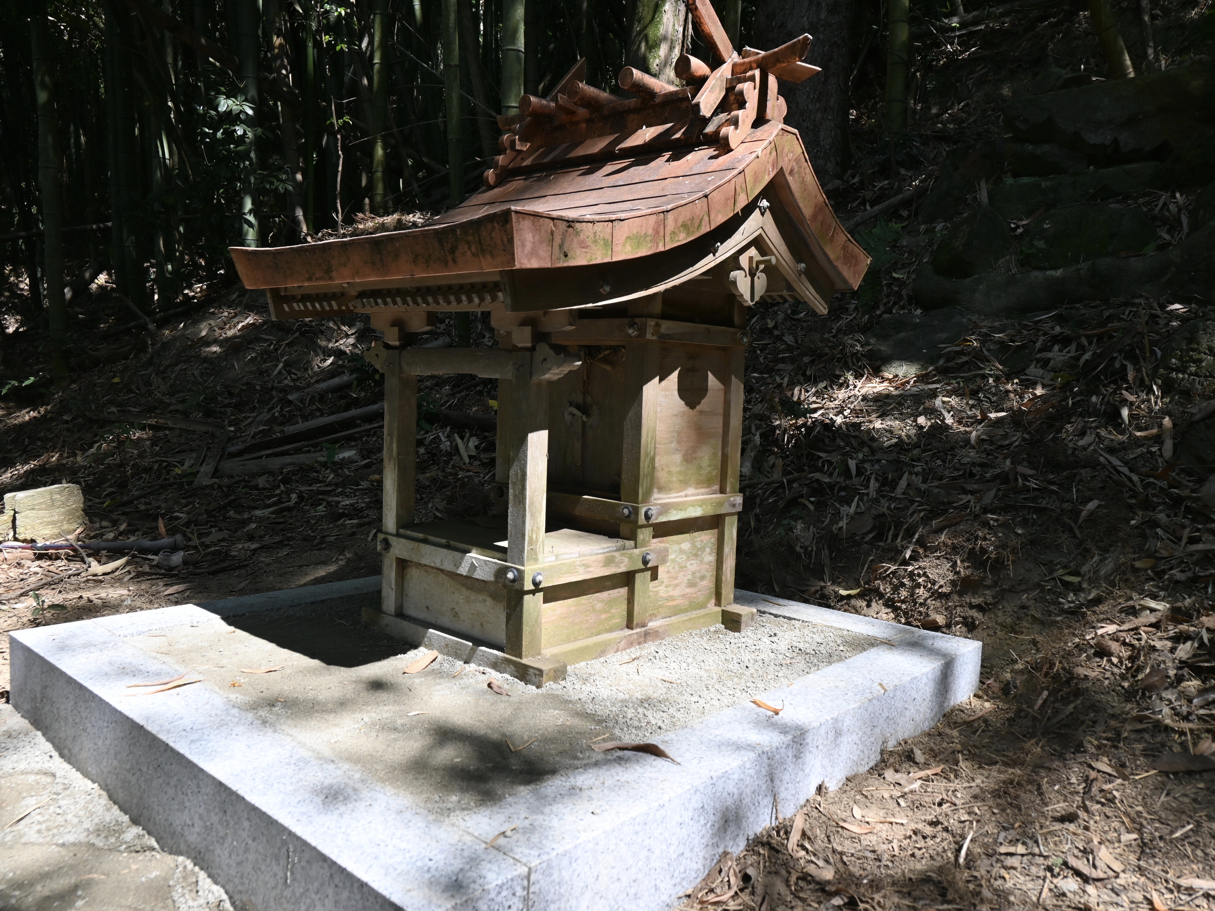 20260531 鎮守様の祠2.jpg
