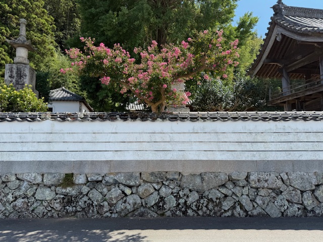 20251109 正通寺のミニトリビア2.jpg